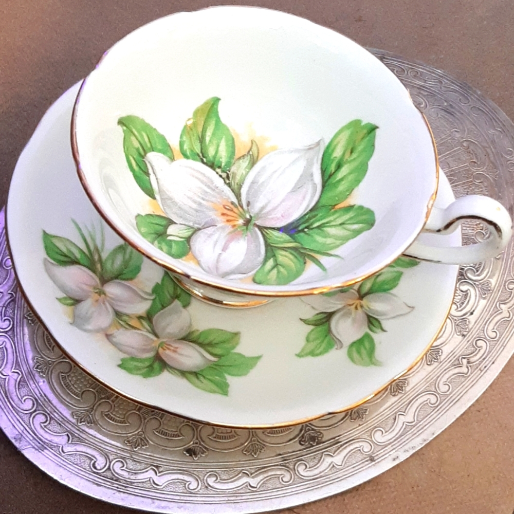 Antique Royal Stafford " White Trillium" cup saucer